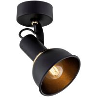 Lampa sufitowa Argon Twist 4900