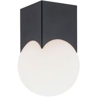 Lampa sufitowa Argon Austin 4713