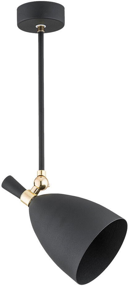 lampa-wiszaca-argon-charlotte-4686-1.jpg