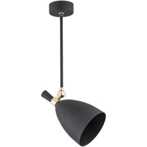 lampa-wiszaca-argon-charlotte-4686-1.jpg