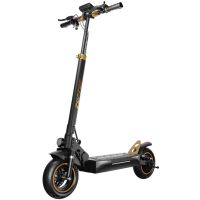Hulajnoga elektryczna Ruptor R1 Lite V2 Miedziany