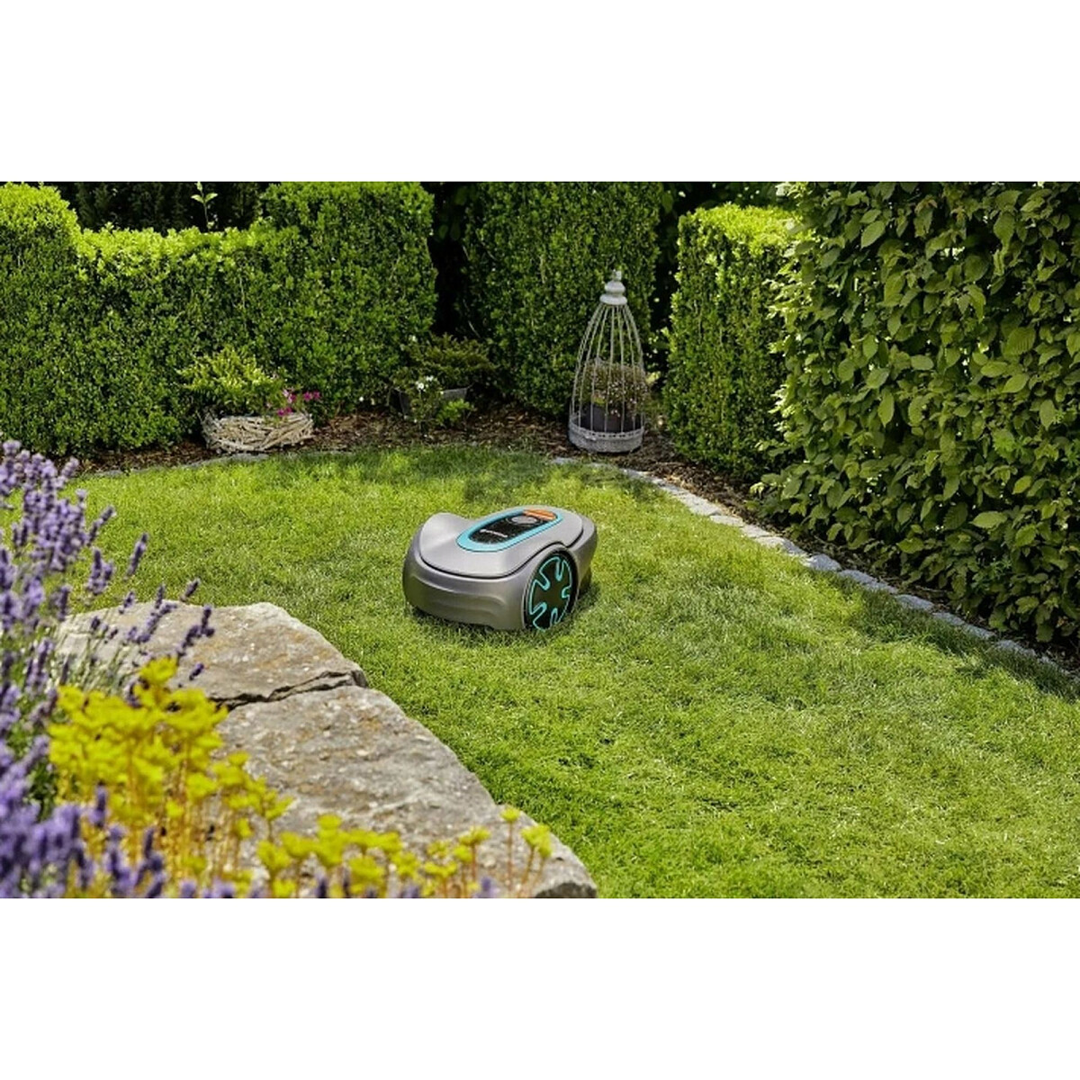 robot-koszacy-gardena-sileno-minimo-15201-32-w-ogrodzie.jpg