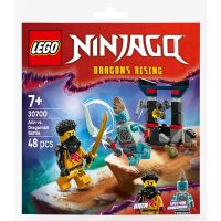 Klocki LEGO NINJAGO Bitwa Arina z Dragonem 30700
