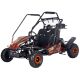 Pojazd spalinowy Ramiz Buggy Lucky Seven Lift Pomarańczowy