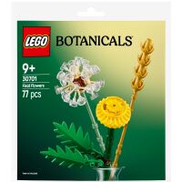 Klocki LEGO Botanicals Polne Kwiaty 30701