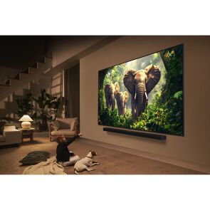 telewizor-lg-55qned86a6a-aranz.jpg