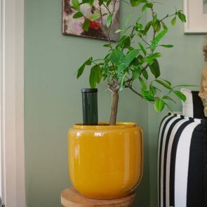 dozownik-wody-fiskars-plant-care-1075380-aranzacja-kwiatek.jpg