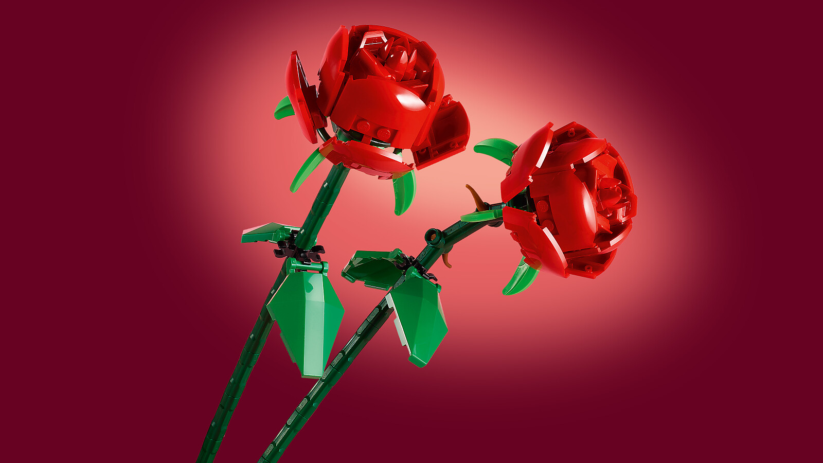 klocki-lego-botanicals-roze-40460-tlo.jpg