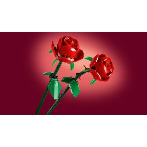 klocki-lego-botanicals-roze-40460-tlo.jpg
