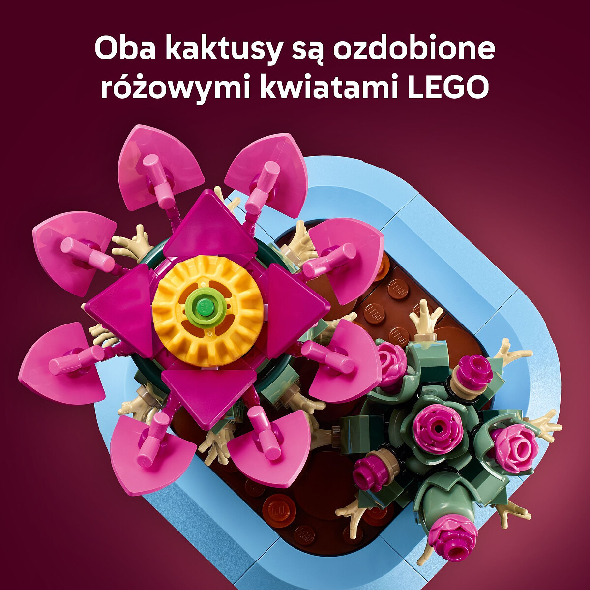klocki-lego-botanicals-kwitnacy-kaktus-11509-kwiaty.jpg