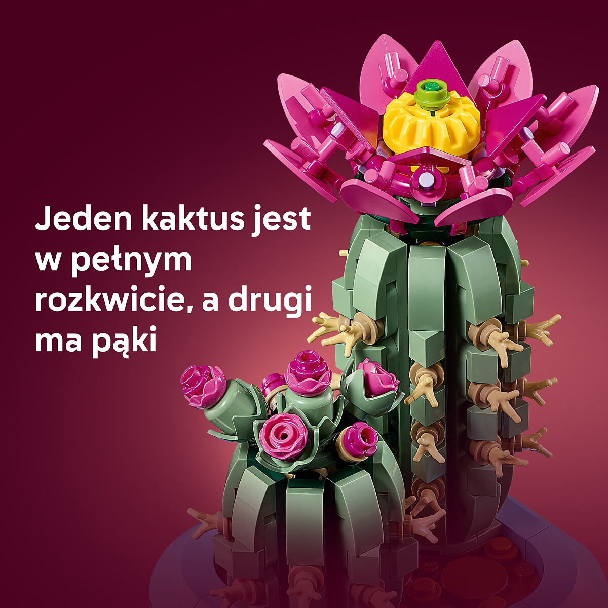 klocki-lego-botanicals-kwitnacy-kaktus-11509-dwa-kaktusy.jpg