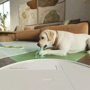 robot sprzatajacy irobot roomba combo 515 bialy pies