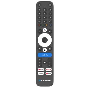 blaupunkt a stream stick (5)