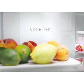 lodowka-candy-fresco-cncq2t620eb-circle-fresh.jpg
