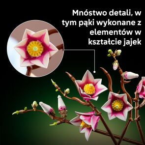 klocki-lego-botanicals-galazki-magnolii-11510-4.jpg
