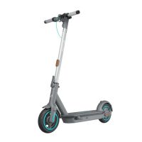 Hulajnoga Motus Scooty 10 GEN 6