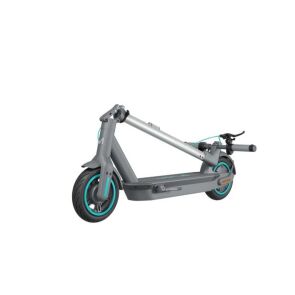hulajnoga-motus-scooty-10-gen-6%20%2824%29.jpg
