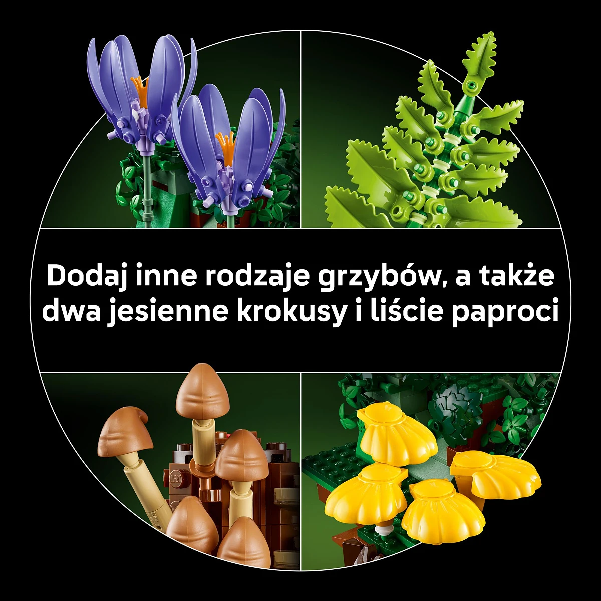 klocki-lego-botanicals-grzyby-lesne-11505-rodzaje-grzybow.jpg