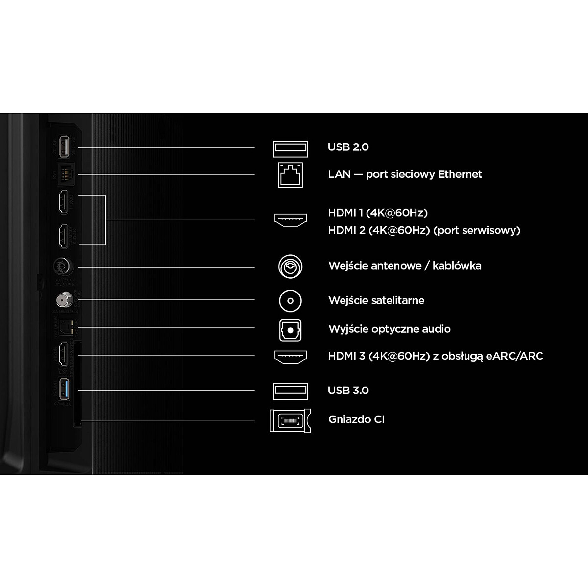 43_50_55_65_75_P7L_Connectors.jpg