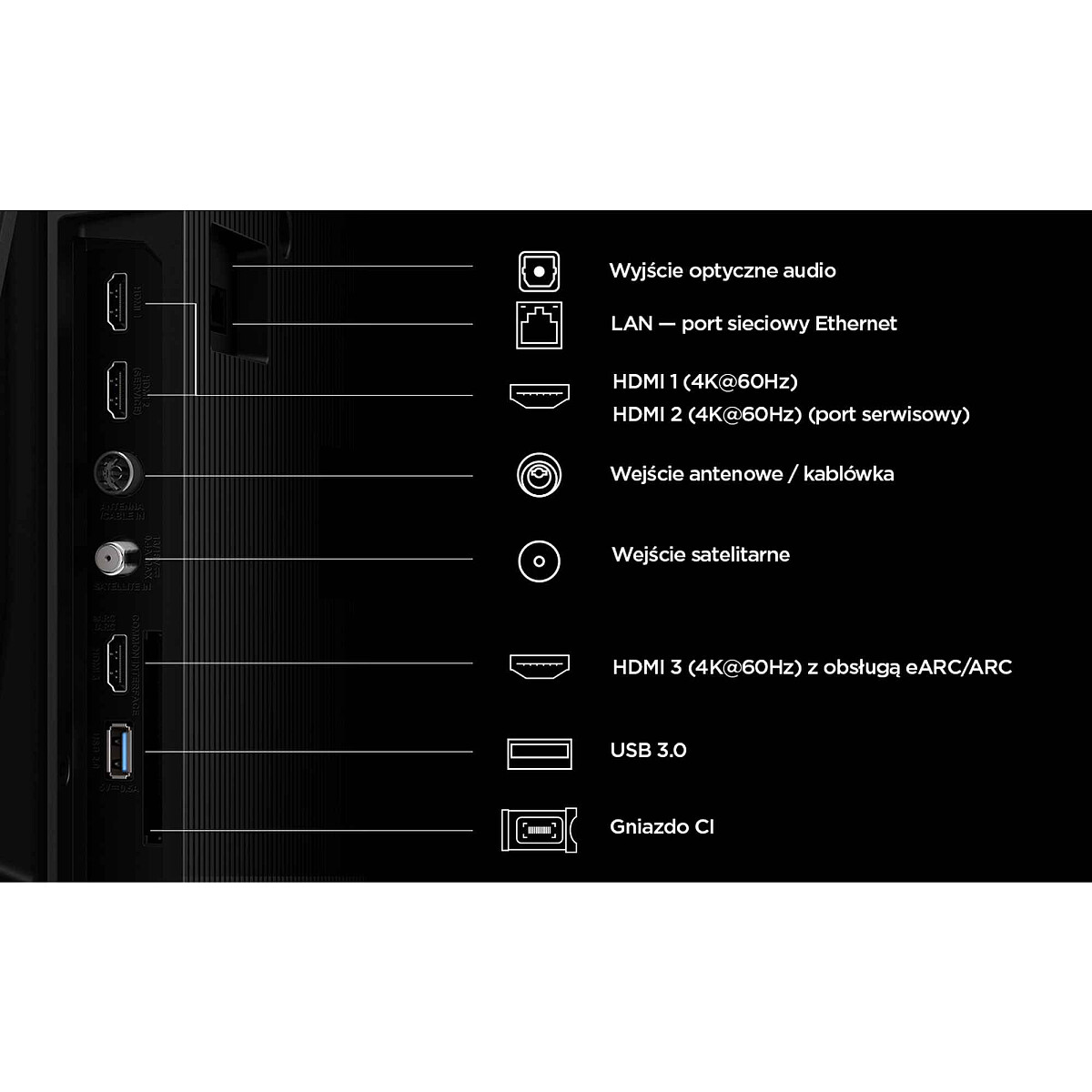 55_65_P6L_Connectors.jpg