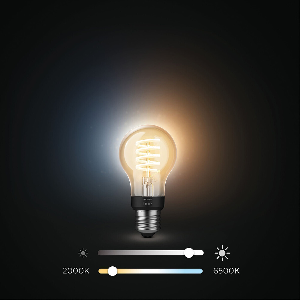 inteligentna-zarowka-led-philips-hue-a60-e27-550-lm-929002477501-regulacja.jpg