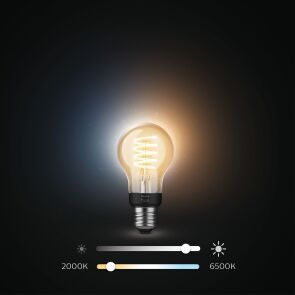 inteligentna-zarowka-led-philips-hue-a60-e27-550-lm-929002477501-regulacja.jpg