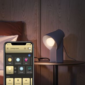 inteligentna-zarowka-led-philips-hue-e27-a60-800-lm-2-szt.-929002489802-opis-5.jpg