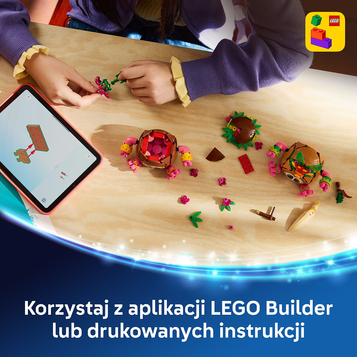 klocki-lego-disney-kakamora-43293-aplikacja.jpg