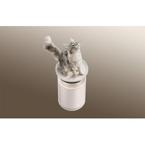 oczyszczacz powietrza dreame furcatch fp10 opis (2)